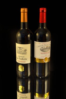 Meşhur Bordeaux bölgesinden bir şişe kırmızı şarap.
