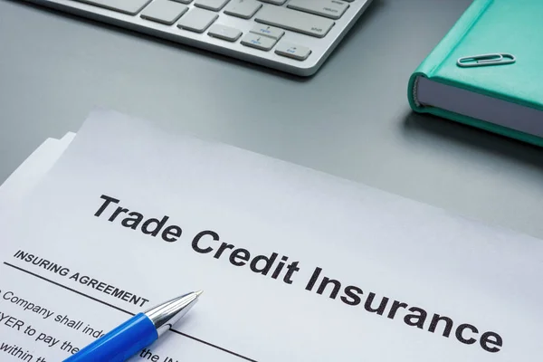 Форма Заявки Страхование Торгового Кредита — стоковое фото