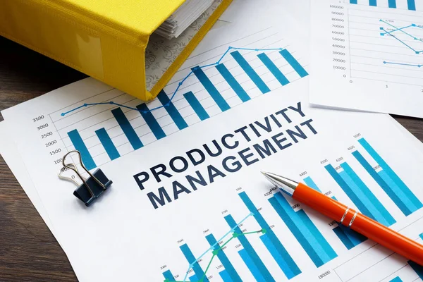 Folder and report about productivity management.