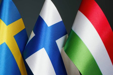 Müzakerelerin sembolü olarak Finlandiya, İsveç ve Macaristan bayrakları.