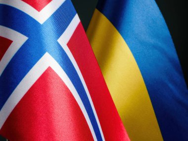 İşbirliğinin sembolü olarak Norveç ve Ukrayna 'nın bayrakları yakınlardadır.