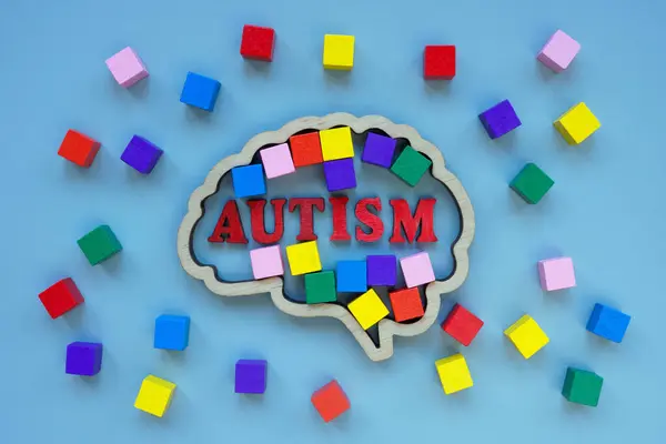 Dřevěný Obrys Mozku Barevné Kostky Autismus Nápisu Stock Obrázky