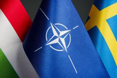 KYIV, UKRAINE - 06 Şubat 2024 NATO, Macaristan ve İsveç bayrakları. Yazı.