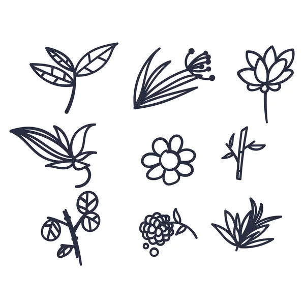 Branches Gribouillis Dessinées Main Feuilles Fleurs Illustration Vecteur — Image vectorielle