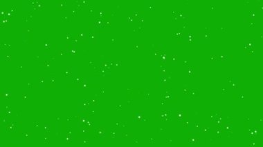 Moving glitter particles motion graphics with green screen background 