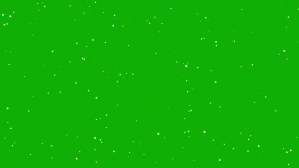 Moving Glitter Particles Motion Graphics Green Screen Background — Video