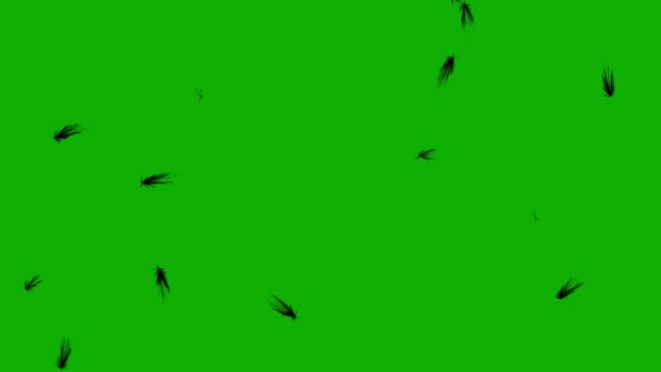 绿色屏幕背景的可怕昆虫运动图形 — 图库视频影像