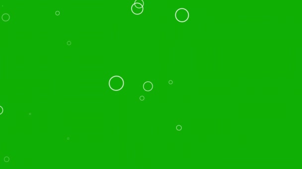 Bílé Kruhové Tvary Pohybové Grafiky Zeleným Pozadím Obrazovky — Stock video