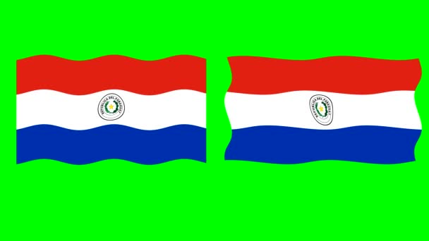 Flaga Wavy Paragwaj Grafika Ruchu Zielonym Tle Ekranu — Wideo stockowe