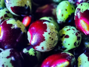 Yakın görüş ve taze bezelyelerin seçici odak noktası