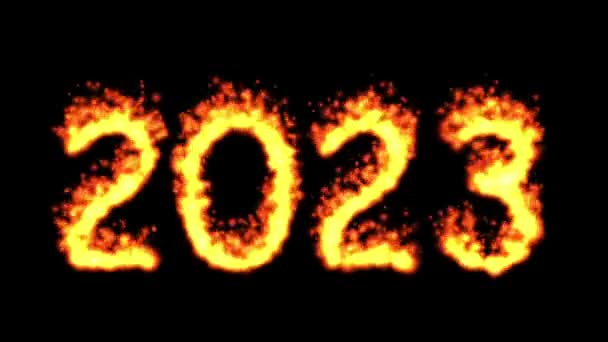 2023 Εφέ Φωτιάς Γραφικά Κίνησης Απλό Μαύρο Φόντο — Αρχείο Βίντεο