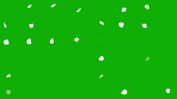 Partículas Confete Branco Movimento Gráficos Com Fundo Tela Verde — Vídeo de Stock