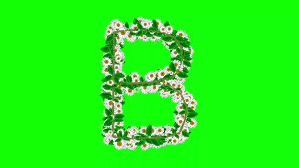 Англійський Алфавіт Білими Квітками Зеленому Екрані — стокове відео