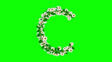 English alphabet C with daisy flowers on green screen background