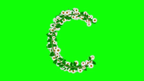 English Alphabet Daisy Flowers Green Screen Background — Stock video