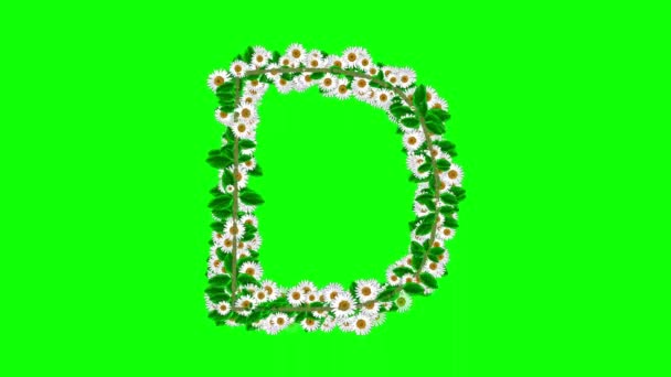 Alfabeto Inglés Con Flores Margarita Pantalla Verde Backgorund — Vídeos de Stock
