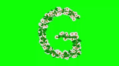 English alphabet G with daisy flowers on green screen background