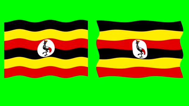 Wellige Uganda Flagge Bewegungsgrafik Mit Grünem Hintergrund — Stockvideo