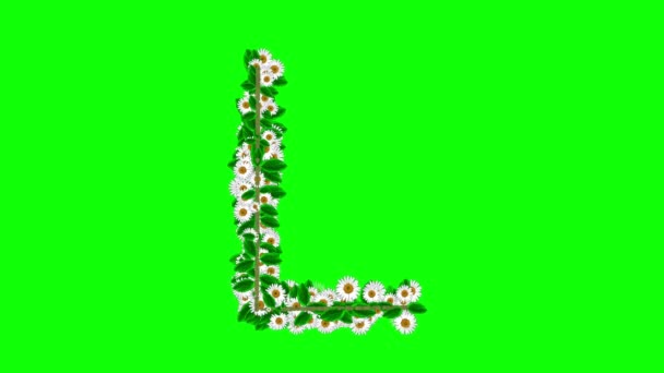 Angielski Alfabet Kwiatami Stokrotki Zielonym Tle Ekranu — Wideo stockowe