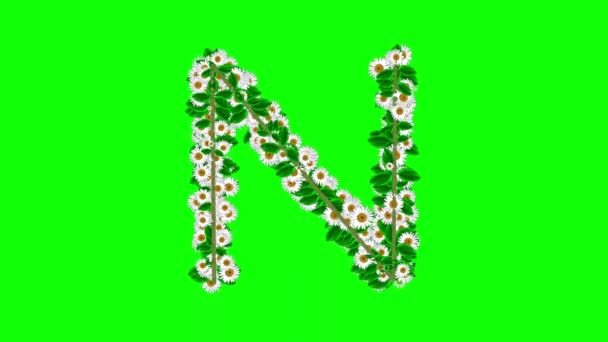 Anglická Abeceda Květinami Sedmikrásky Pozadí Zelené Obrazovky — Stock video