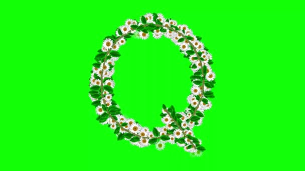 Englisches Alphabet Mit Gänseblümchen Auf Grünem Hintergrund — Stockvideo