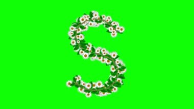 Yeşil ekran arka planında papatya çiçekleri olan İngiliz alfabesi S