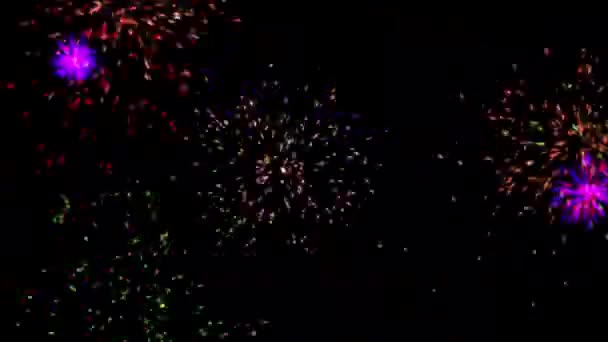Coloridos Fuegos Artificiales Parpadeantes Gráficos Movimiento Con Fondo Nocturno — Vídeo de stock