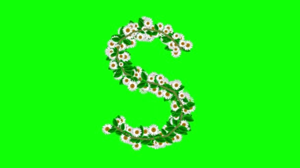 緑の画面の背景にデイジーの花と英語のアルファベットS — ストック動画