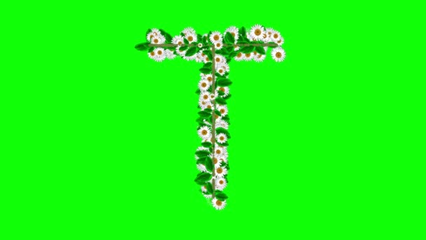 Αγγλικό Αλφάβητο Μαργαρίτα Λουλούδια Πράσινο Φόντο Οθόνη — Αρχείο Βίντεο