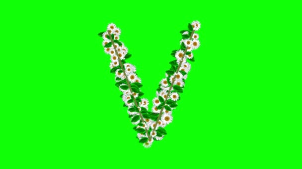 Английский Хабет Цветочками Зеленом Фоне Экрана — стоковое видео
