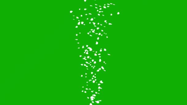 Белая Графика Движения Фонтана Конфетти Зеленым Фоном — стоковое видео