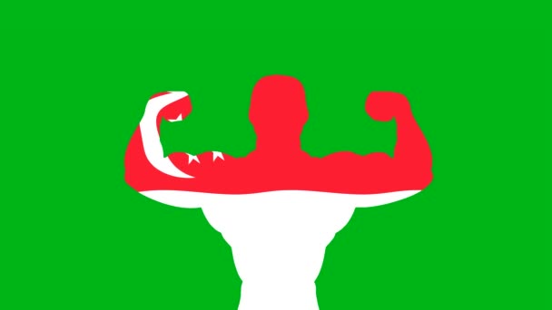 Forte Singapore Bandiera Grafica Movimento Con Sfondo Schermo Verde — Video Stock