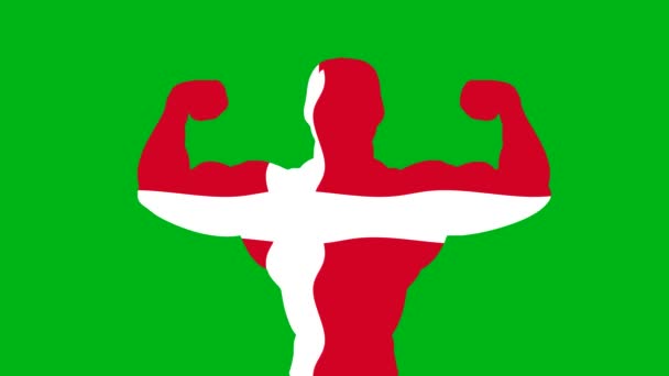 Mocna Dania Flaga Grafika Ruchu Zielonym Tle Ekranu — Wideo stockowe