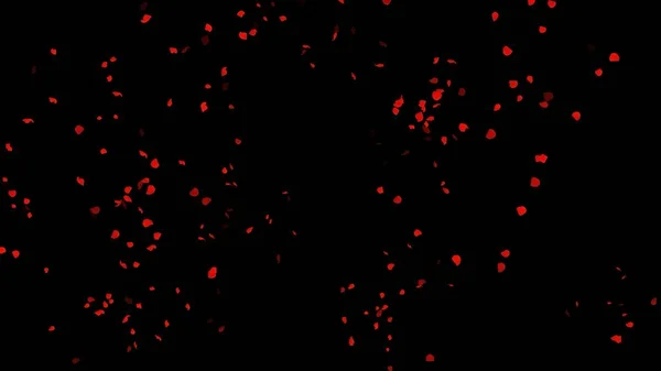 Sade siyah arkaplanda renkli gül yapraklarının güzel bir çizimi