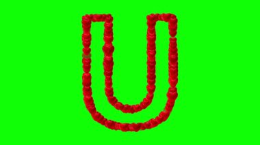 Kırmızı kalpli yeşil ekranlı İngiliz alfabesi U