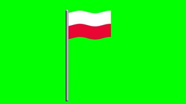 Waver Polen Vlag Met Paal Groen Scherm Achtergrond — Stockvideo
