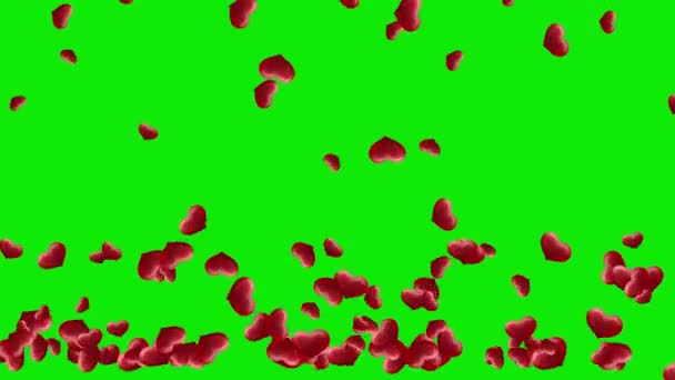 Vallende Rode Harten Bewegende Graphics Met Groene Scherm Achtergrond — Stockvideo