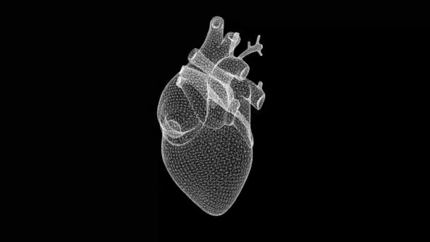 纯黑色背景的旋转3D线框人类心脏运动图形 — 图库视频影像