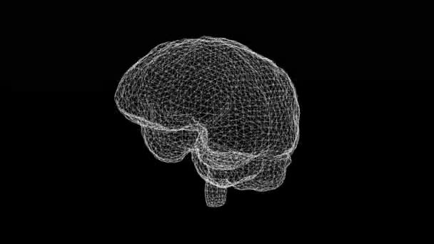 纯黑色背景的旋转3D线框人脑运动图形 — 图库视频影像