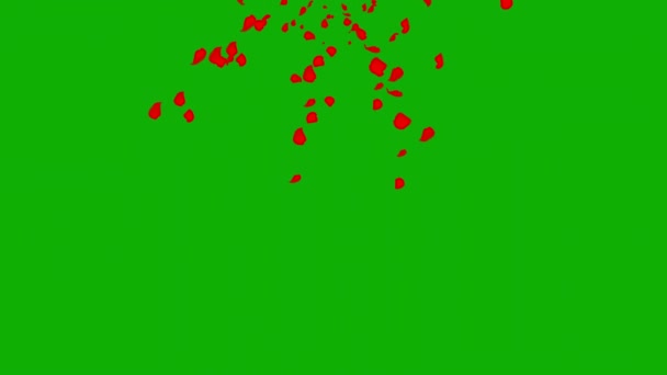 Padající Červená Růže Okvětní Lístky Pohyb Grafiky Zelenou Obrazovkou Pozadí — Stock video