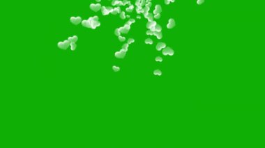 Düşen kalpler, yeşil ekran arkaplanlı hareket grafikleri