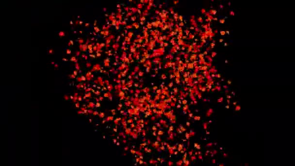红玫瑰花瓣在浅黑色背景下形成的心形 — 图库视频影像