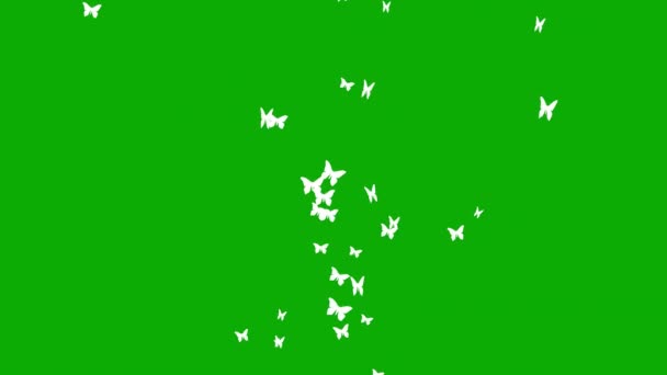 Πετώντας Πεταλούδες Γραφικά Κίνησης Πράσινο Φόντο Οθόνη — Αρχείο Βίντεο