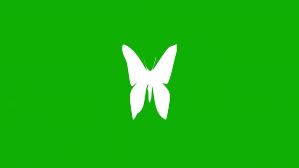 Knipperende Vlinder Beweging Graphics Met Groene Scherm Achtergrond — Stockvideo