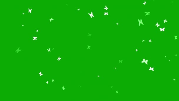 Fluttering Borboletas Movimento Gráficos Com Fundo Tela Verde — Vídeo de Stock