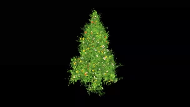 Árvore Natal Com Flores Coloridas Fundo Preto Liso — Vídeo de Stock