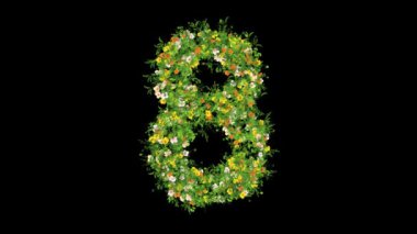 8 numara çimen ve renkli çiçeklerle sade siyah arka planda