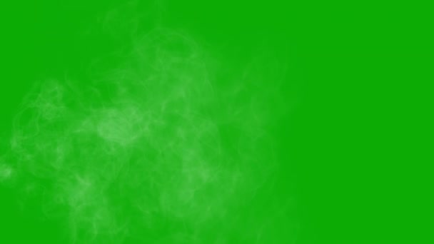 Blaasbare Witte Rook Beweging Graphics Met Groene Scherm Achtergrond — Stockvideo