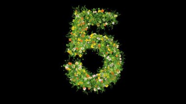 Sade siyah arka planda çimen ve renkli çiçeklerle 5 numara.