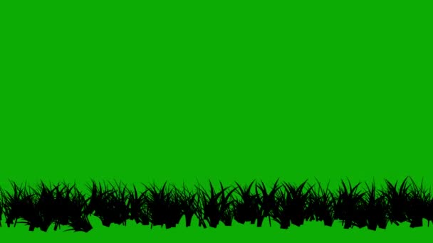 Schwarze Silhouette Gras Bewegungsgrafik Mit Grünem Hintergrund — Stockvideo